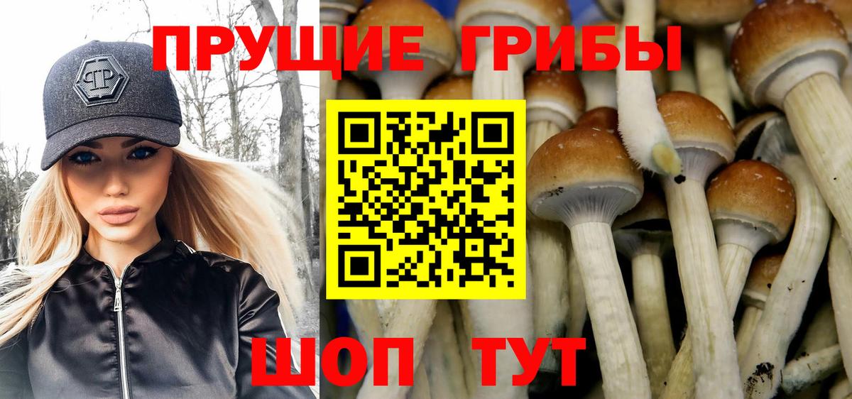 Галлюциногенные грибы прущие грибы  Псилоцибиновые грибы Psilocybine cubensis  Троицк  где продают   Вход с VPN 